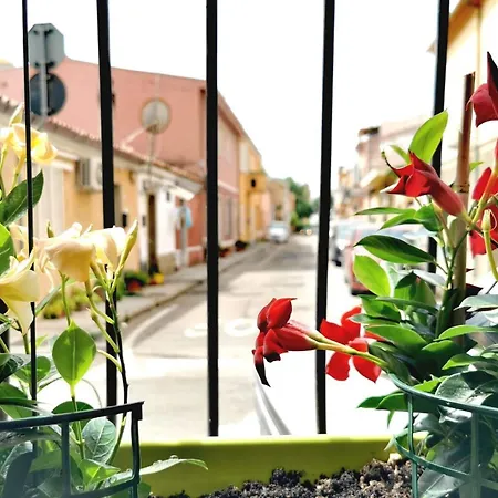 Lux Energy And Garden Bed & Breakfast
